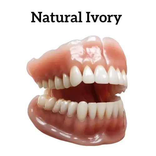 🦷Premium Advanced Customized Full Denture Set 👑 (⏰Limited time discount last 30 minutes) - Image 12