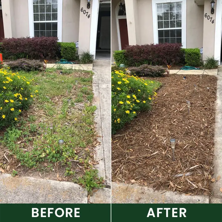 Weed Control Powder - Image 10