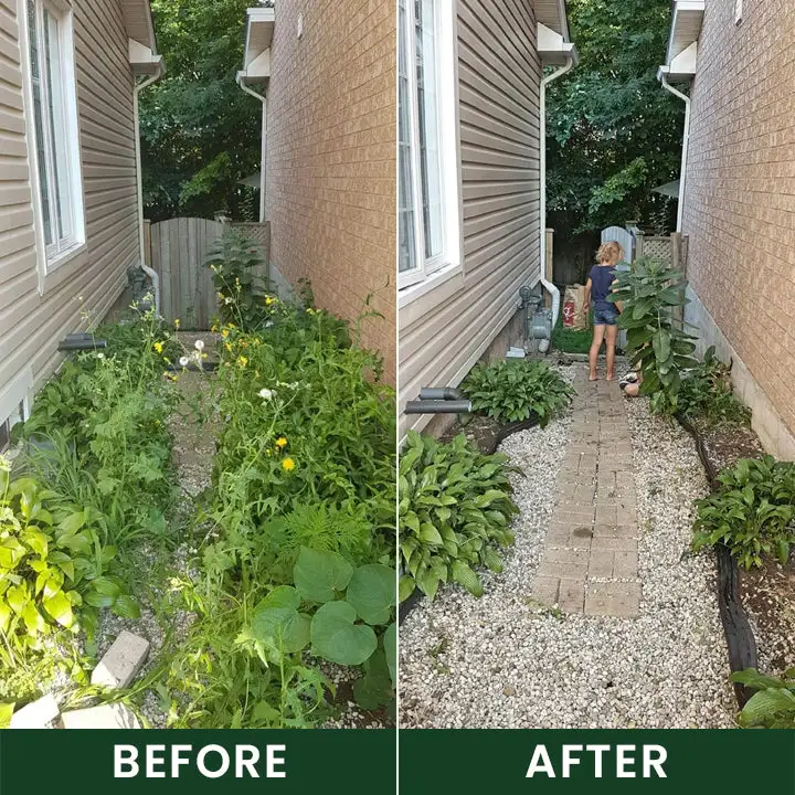 Weed Control Powder - Image 11