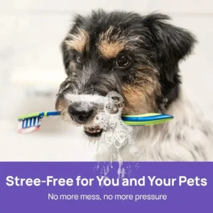 Dental Care Drops - Image 3