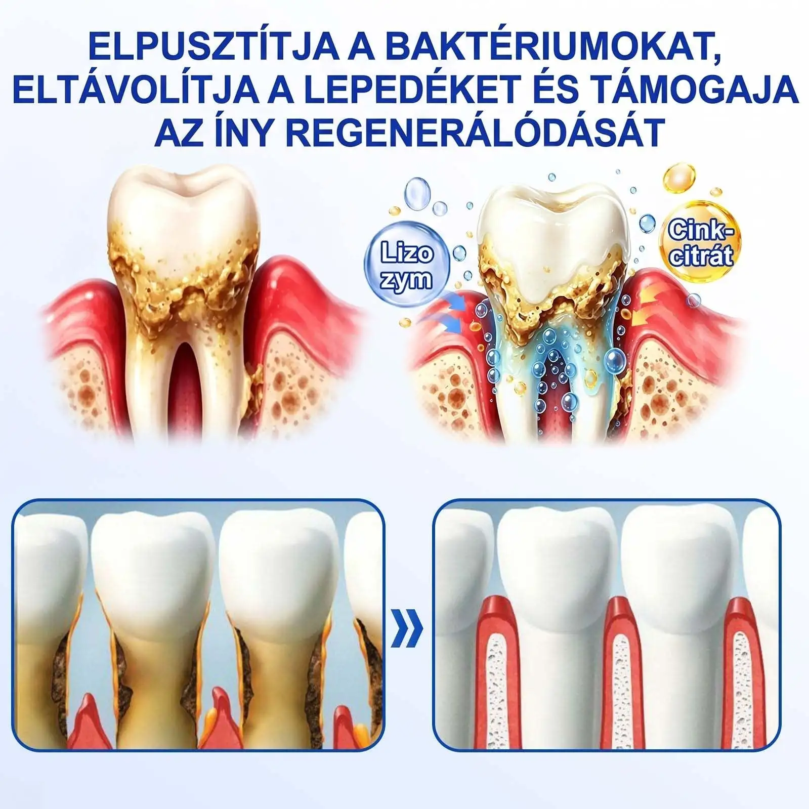 GumRevive - Image 9
